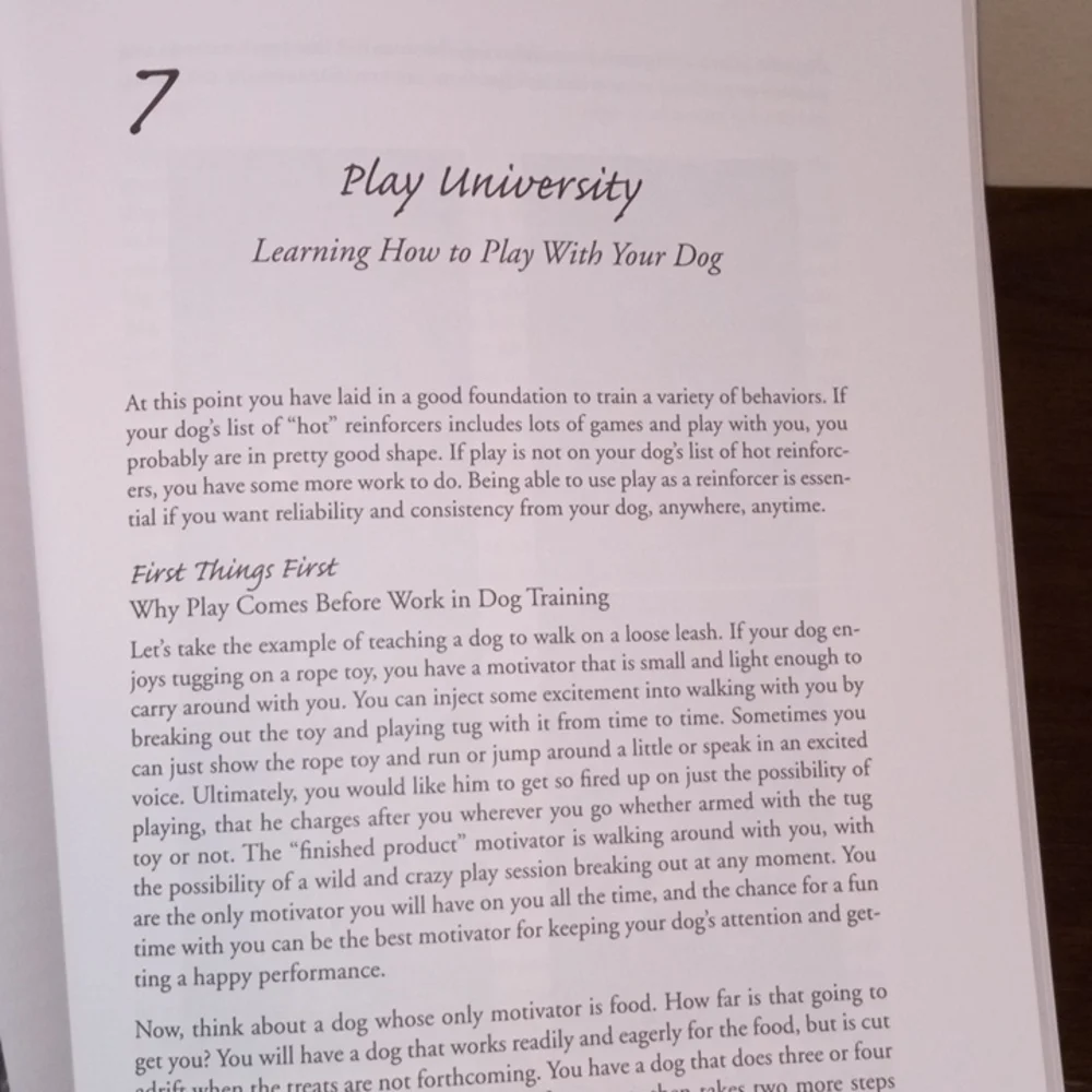 When pigs fly - Dog Training Manual